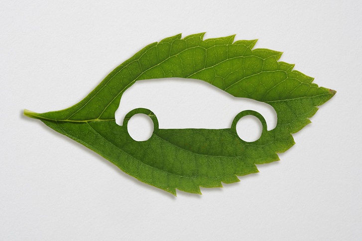 zielony liść z symbolem samochodu